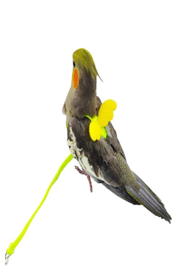 Cyblinia Adjustable Bird Harness Leash Parrot Flying Rope Straps Outdoor Training Traction Rope for Small Parrots, Random Color - Image 4